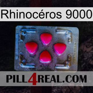 Rhinocéros 9000 13